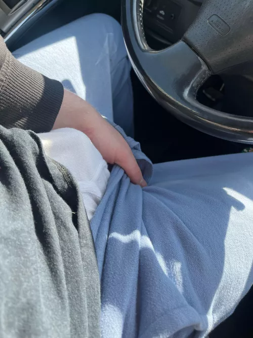 Looks like my little buddy is excited to be in the car