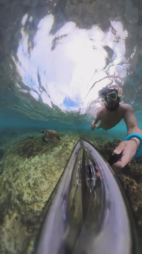 Swimming naked with turtles!