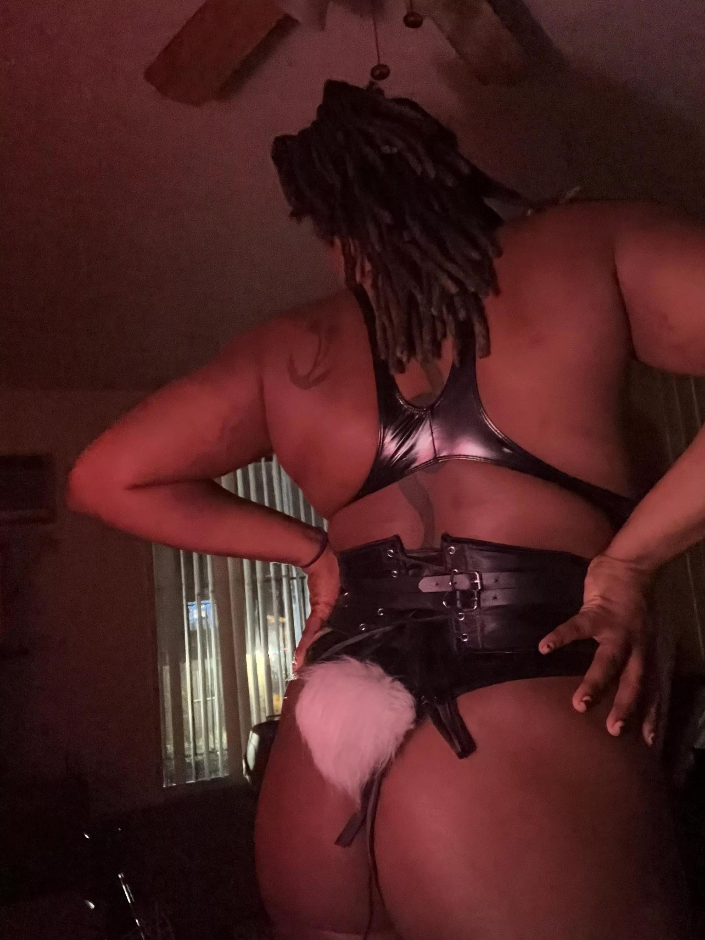 This bunny like to be on top