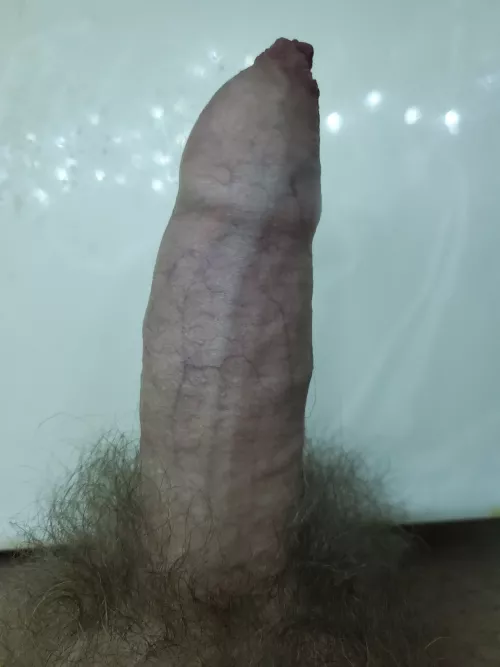 What do you think of my cock?