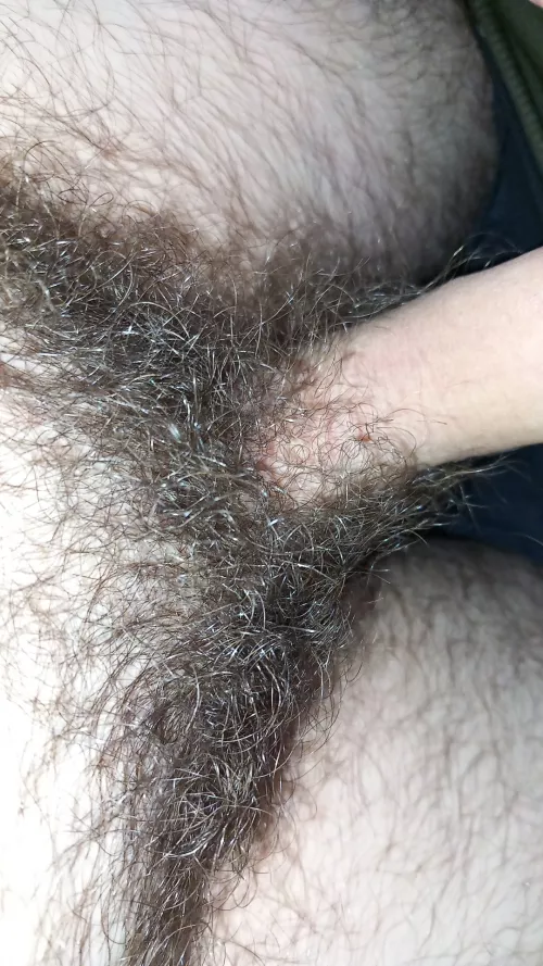 What you think about my Bush?