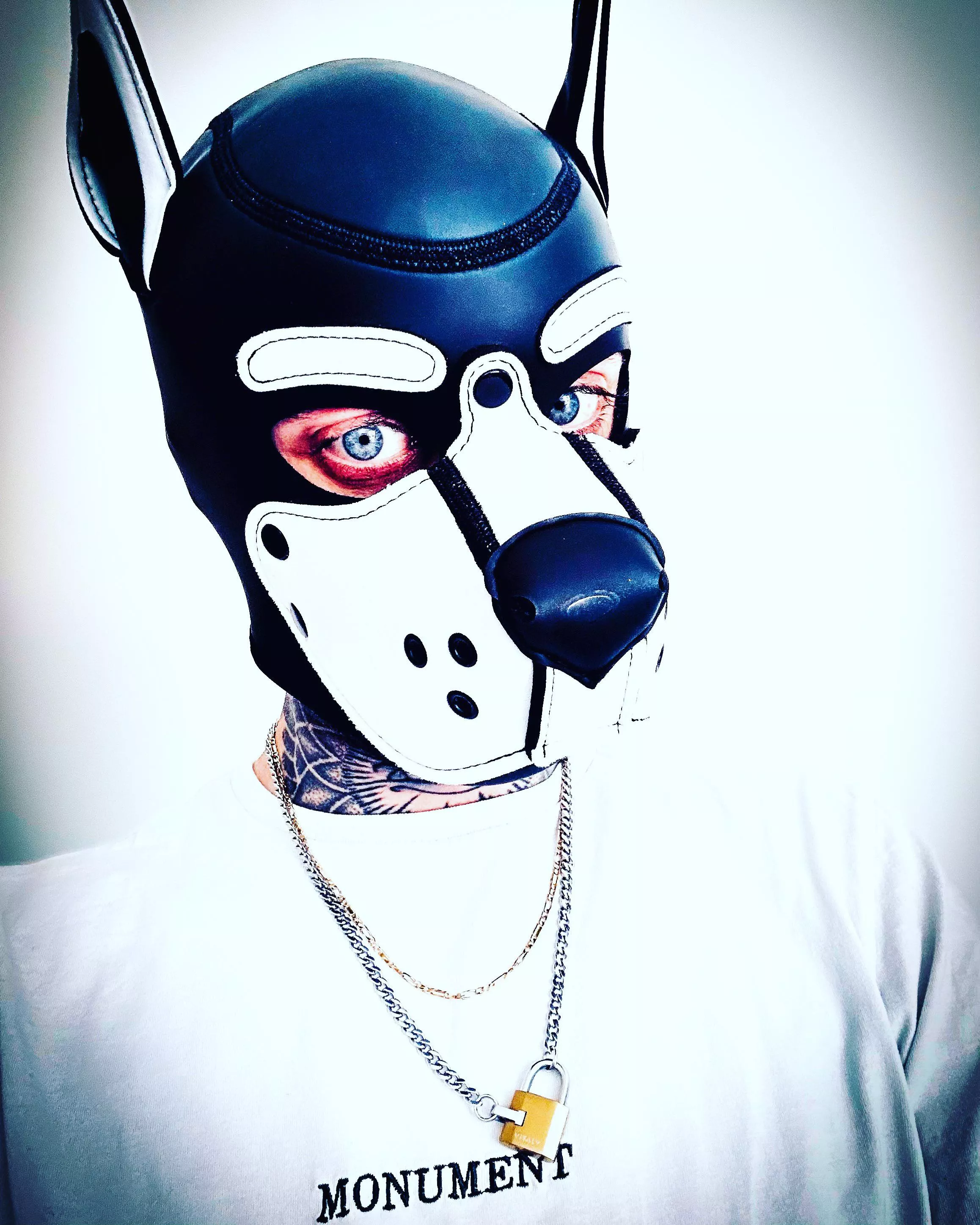 When I look other pup’s 🤍🐾