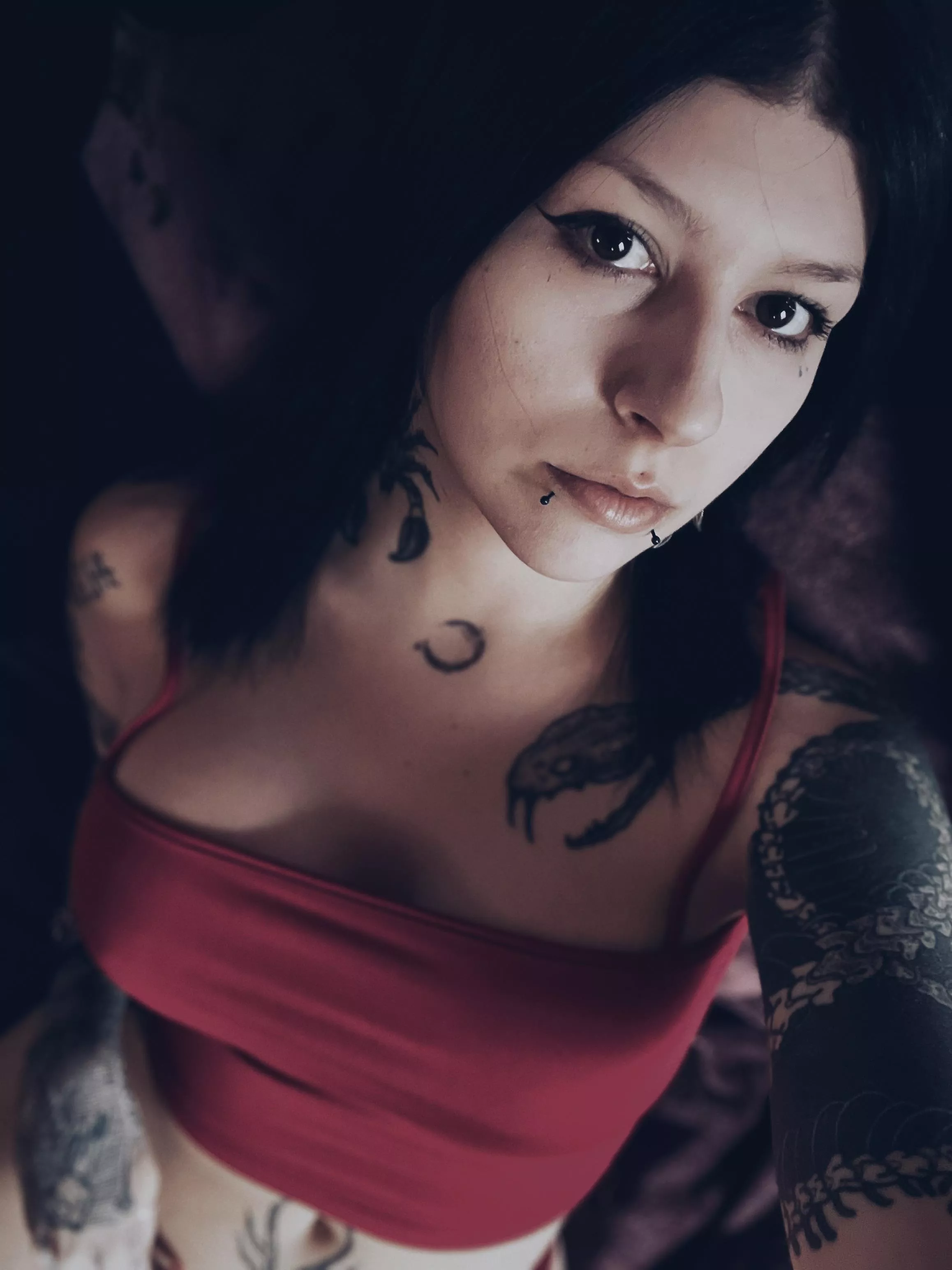 Can’t wait for the next concert! I am going to see igorrr live. You?