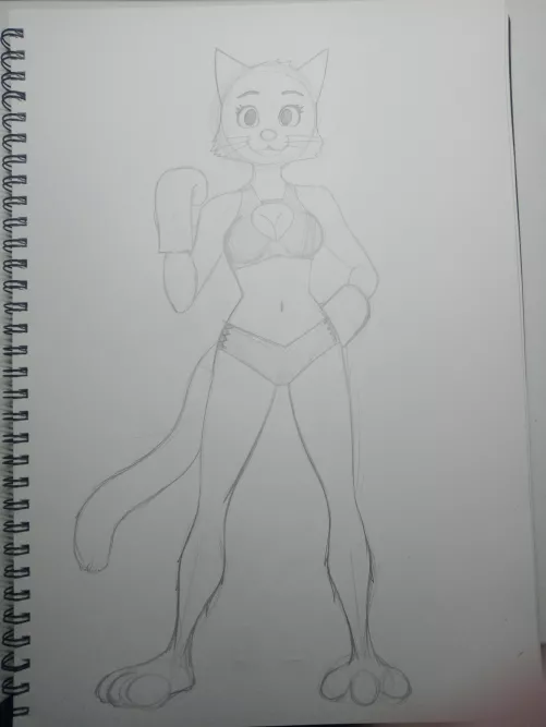 Cat boxer oc