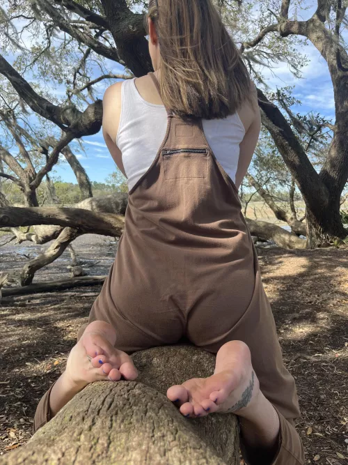 Ever Want To Be A Tree?