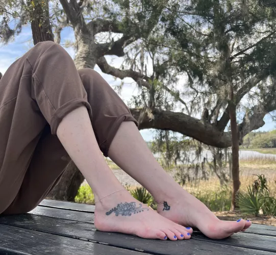 I Bring A Lot To The Table