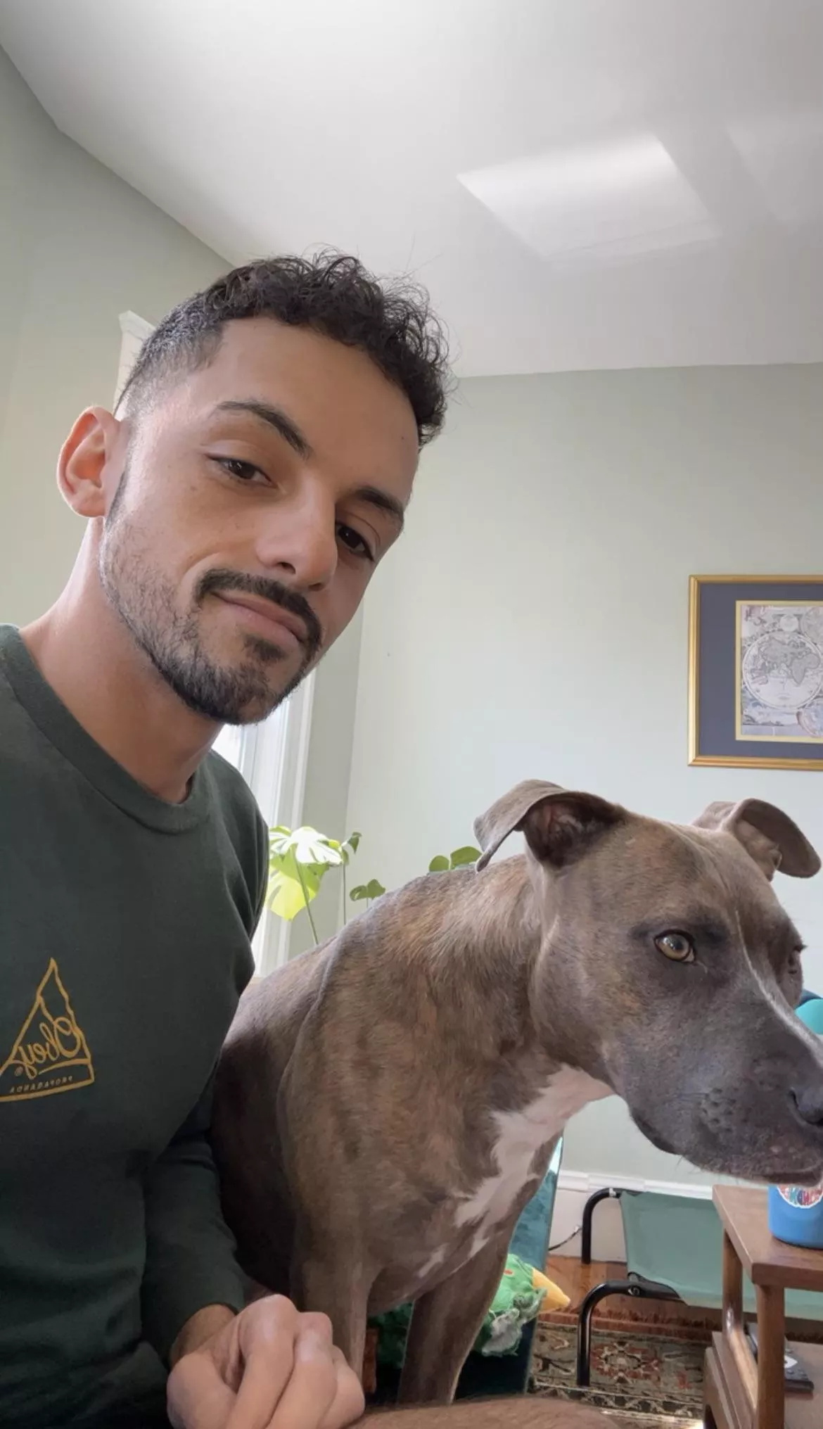 Just a guy and his roomies needy/sweet dog.