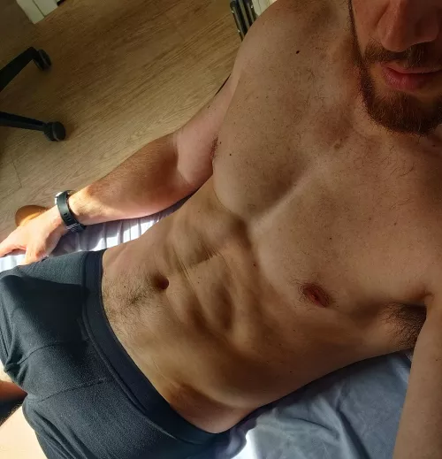 Lets spend the day in bed?