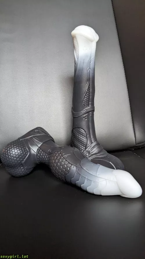 My New Bishop & Vector