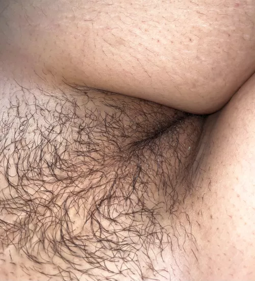 please ruin my dirty hairy cunt