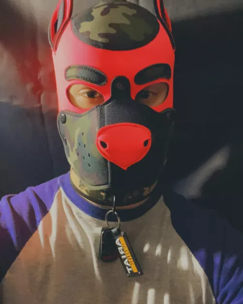 Pup needs a some attention!