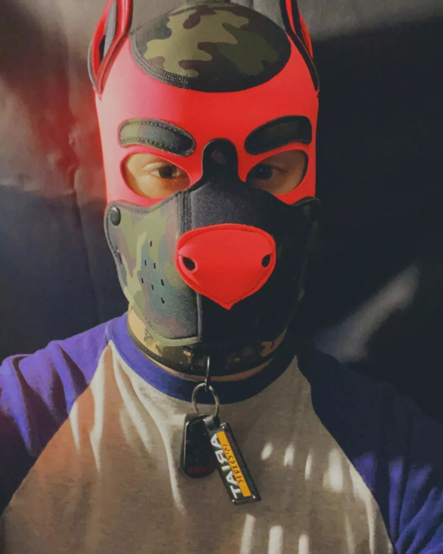 Pup needs a some attention!
