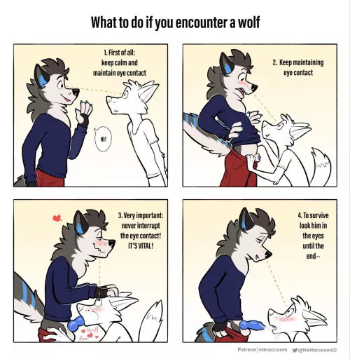 Survival Guide (NikraccoomAD)