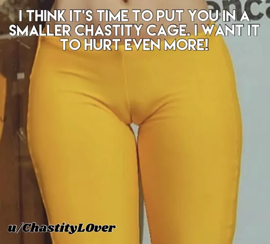 Time for a smaller cage.