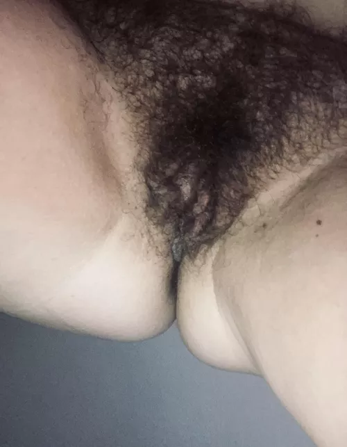 Up close and personal view