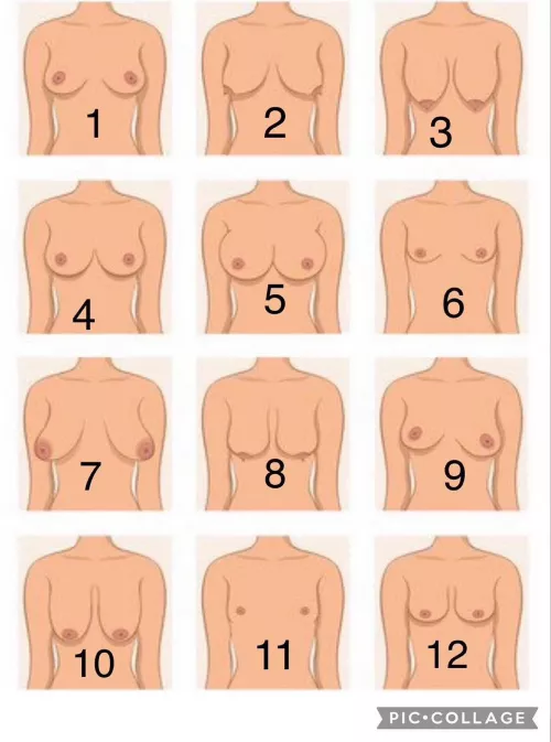 What # are they? Today I’d love to see and rate breasts!