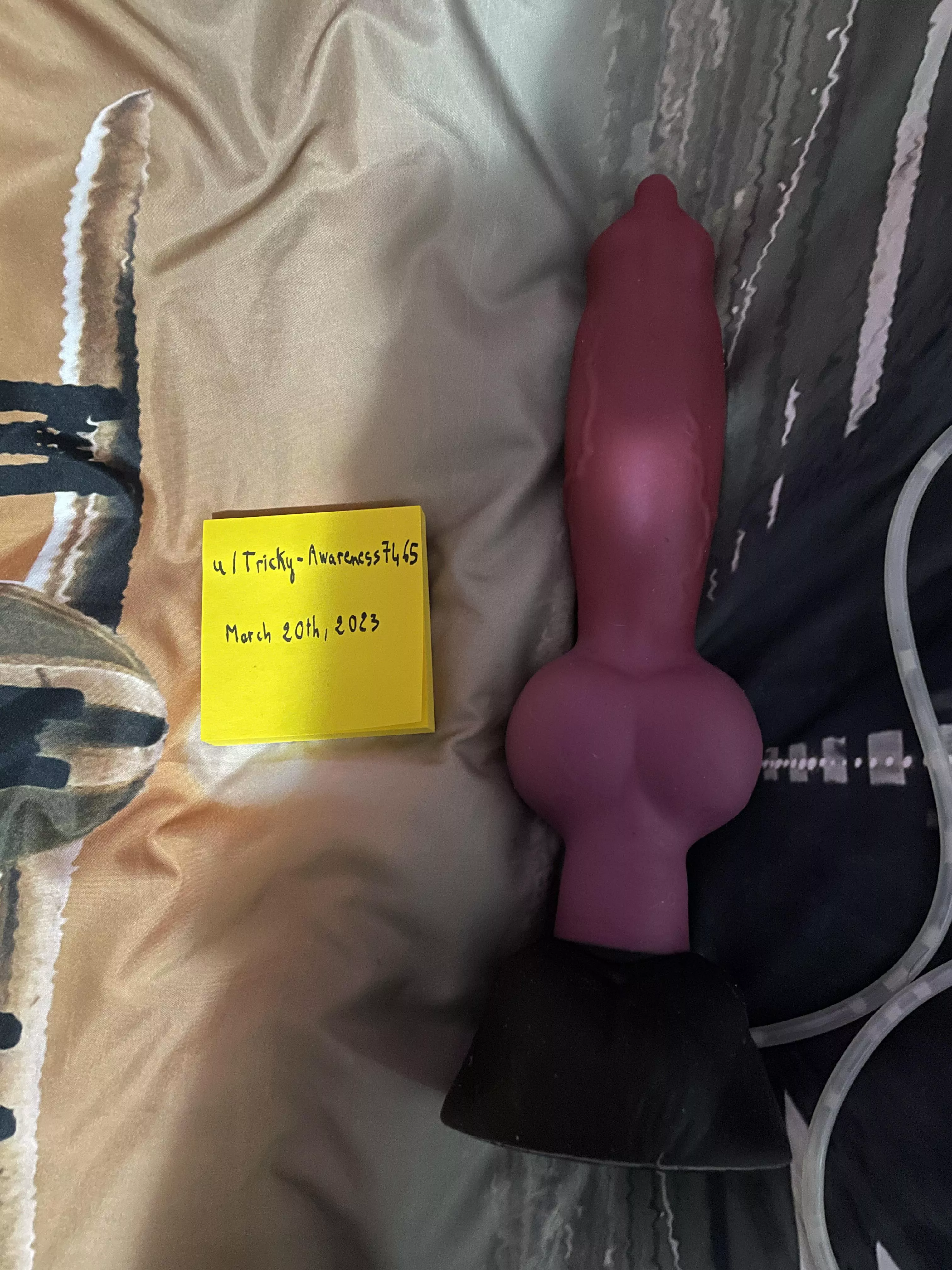 WTS/WTT Rex L/S, Canada Only