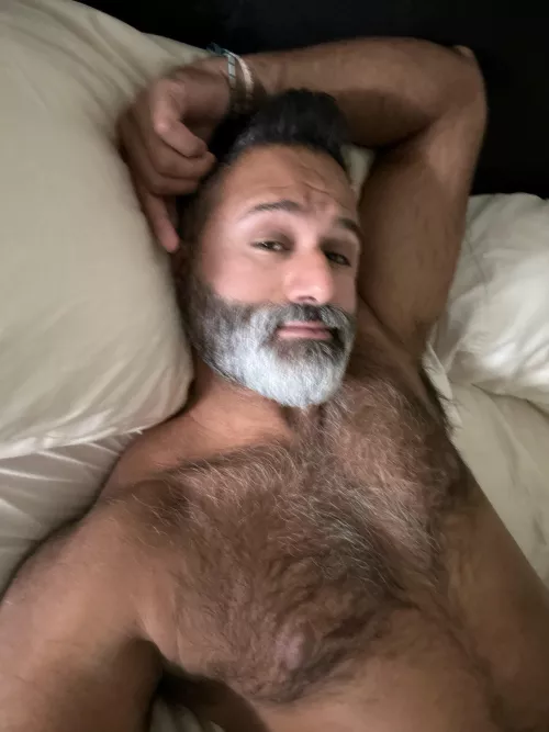 40 Hairy brown dad type, prefer slim bottoms, HMU sc samchatting6