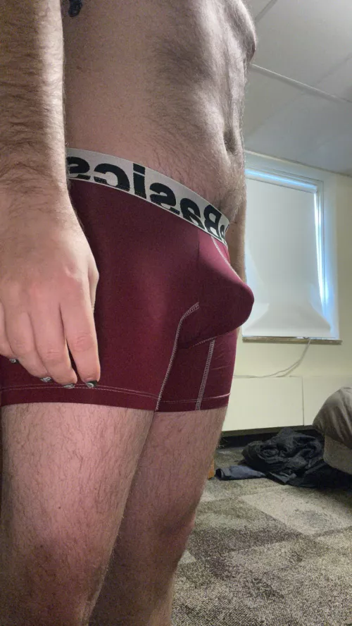 Got a new pair of underwear and thought I’d show it off.