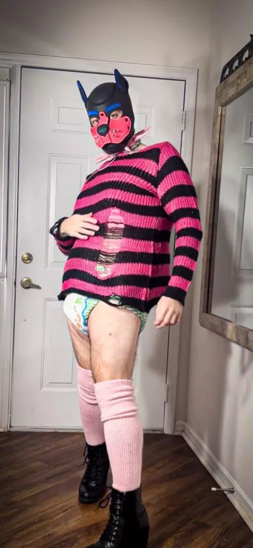 I’m a pink punk padded puppy! 🐶💙💕🔐