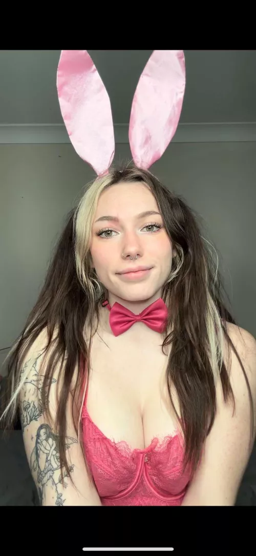 Let this bunny bounce all over you
