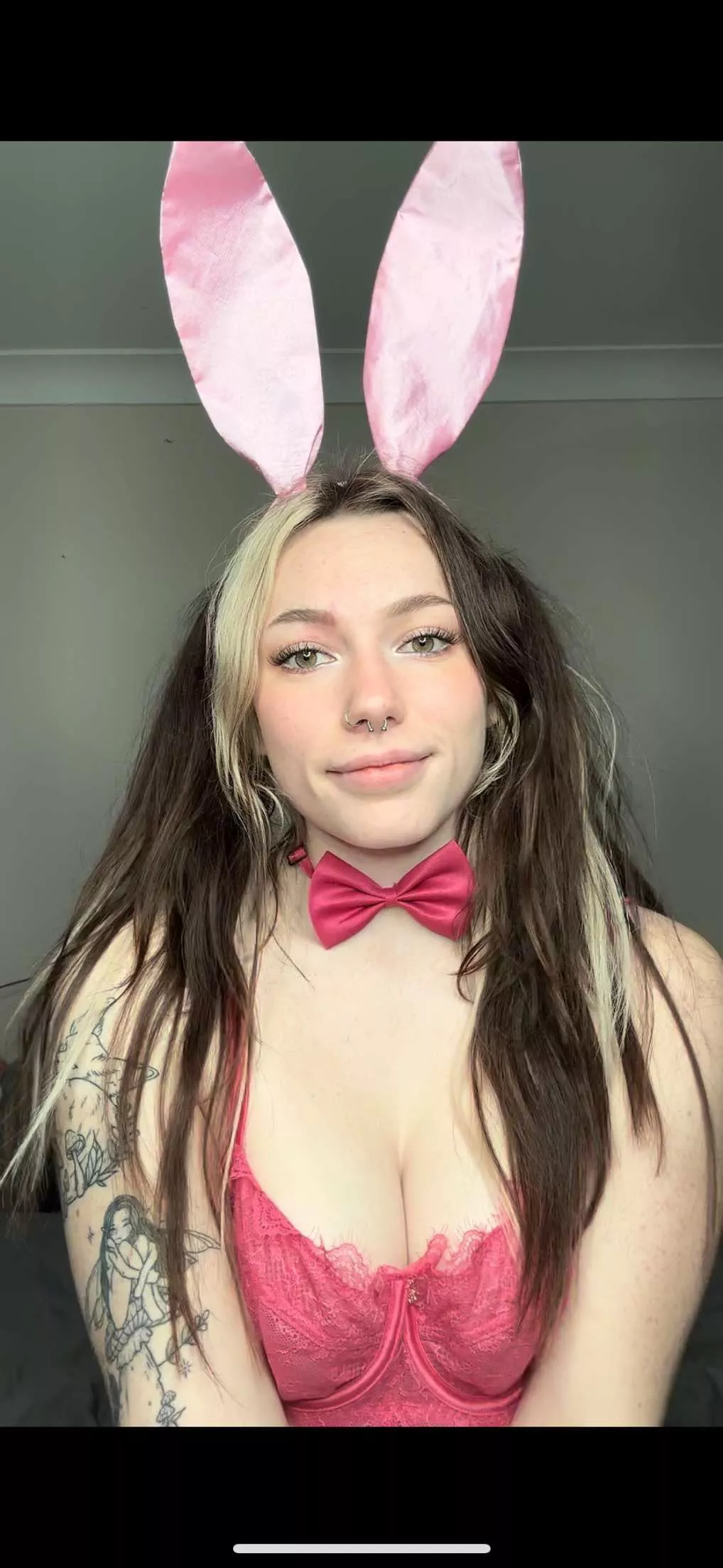 Let this bunny bounce all over you