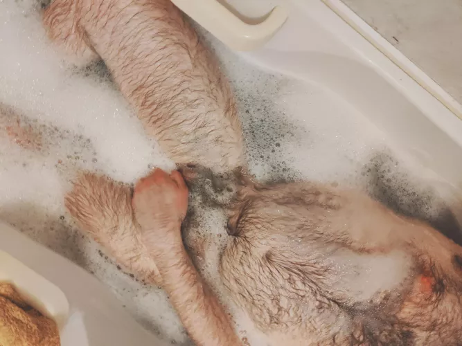 One from the other night