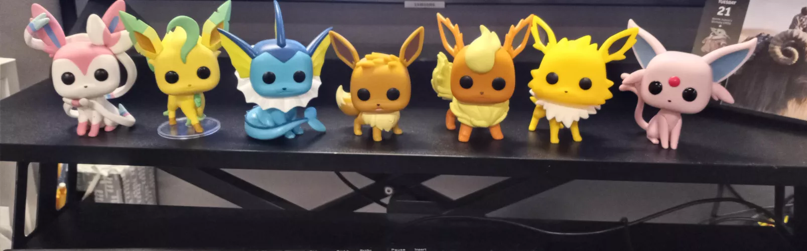 The Eeveeloution family grows ❤️❤️