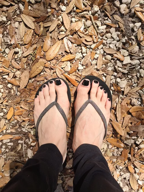 This piggy went to the market