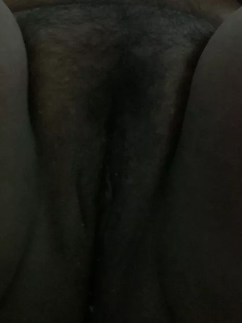 Who here is into that 70s bush?