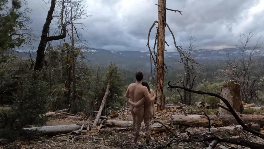 Yosemite Wilderness Area