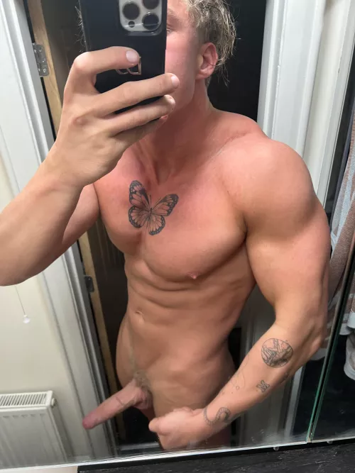 6’9 Irish Giant alpha