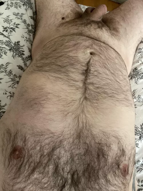 Any love for the dadbod