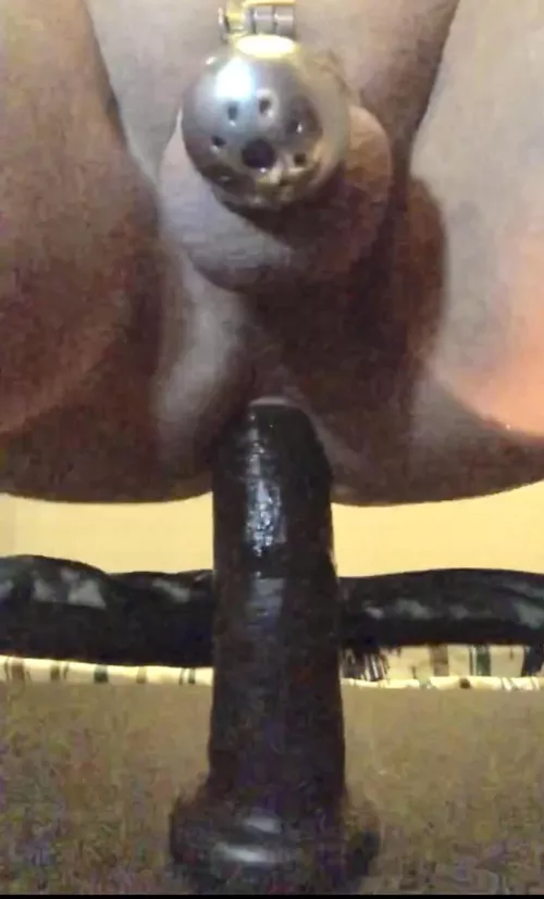 Caged and riding a black cock