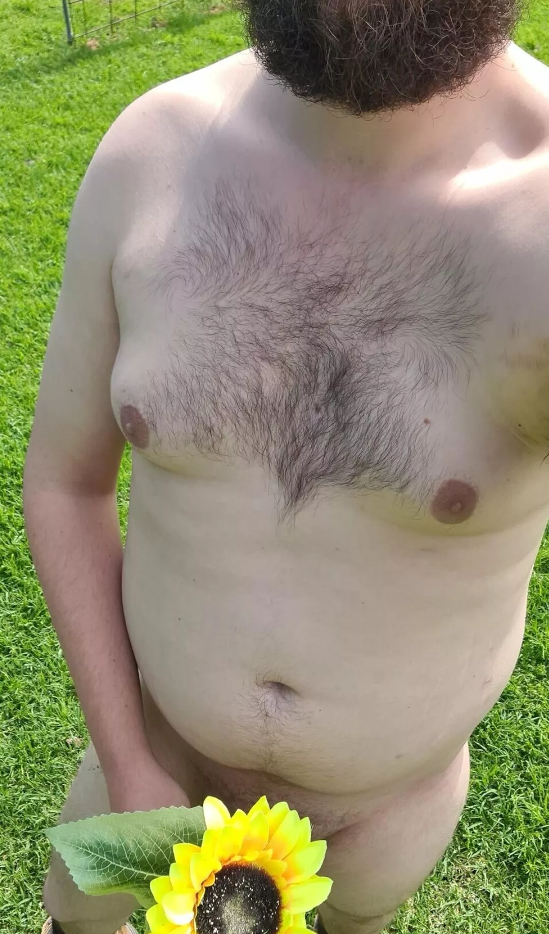 I got you a sunflower