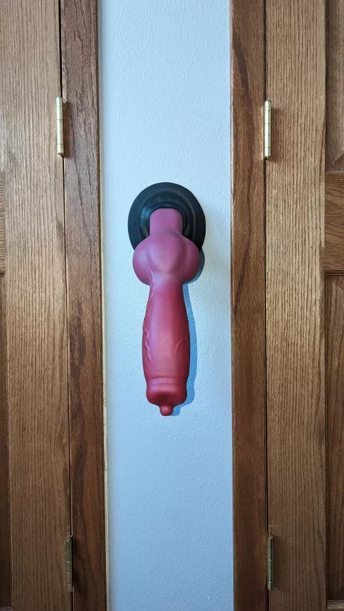 It's gonna be a fun night. Sized up to an XL Rex firm base soft shaft with a suction cup.