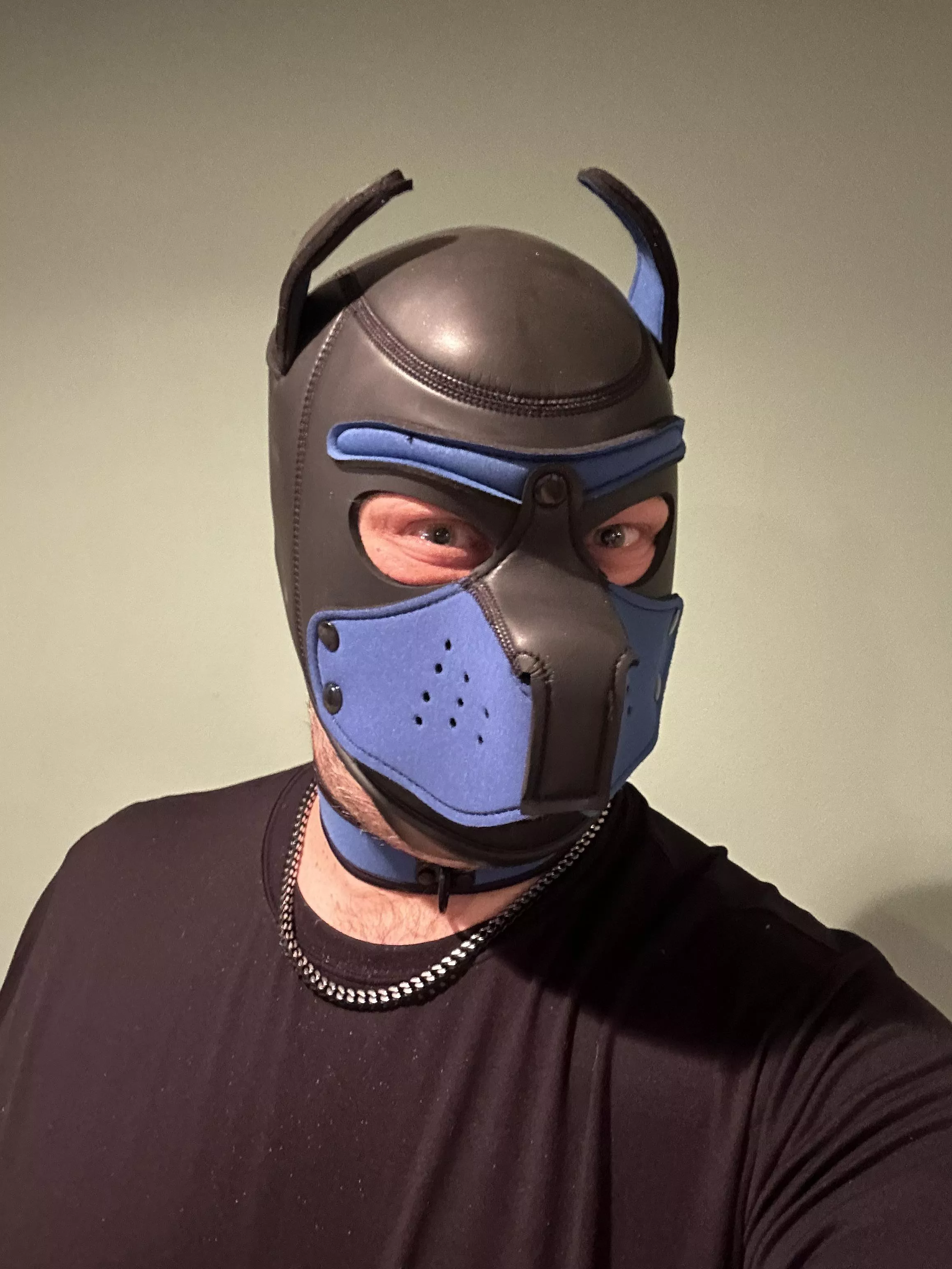 New hood, who dis’