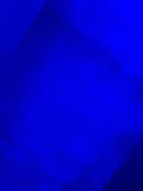 Ready to compare if you beat me you get my ex gf nudes! Message me now 18yo Ready to compare if you beat me you get my ex gf nudes! Message me now 18yo