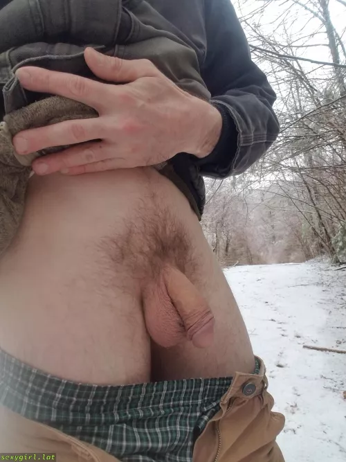snowy forest softie [34]