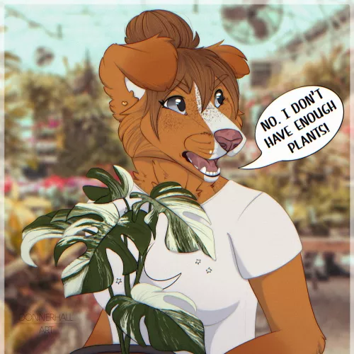 To many plants? Never.