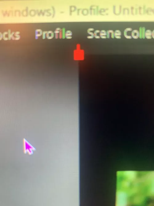 whenever I try to use game capture on OBS it shows this and when I click to size it, it just disappears