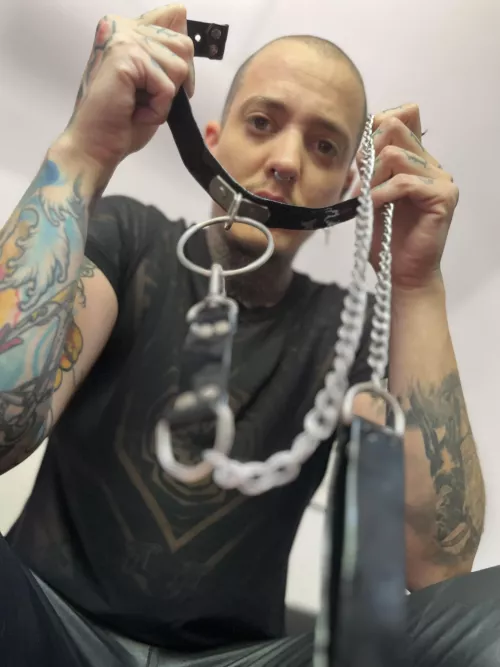 Where are my devout puppies, let’s start with a praise