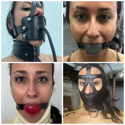 Which one is your favorite ?