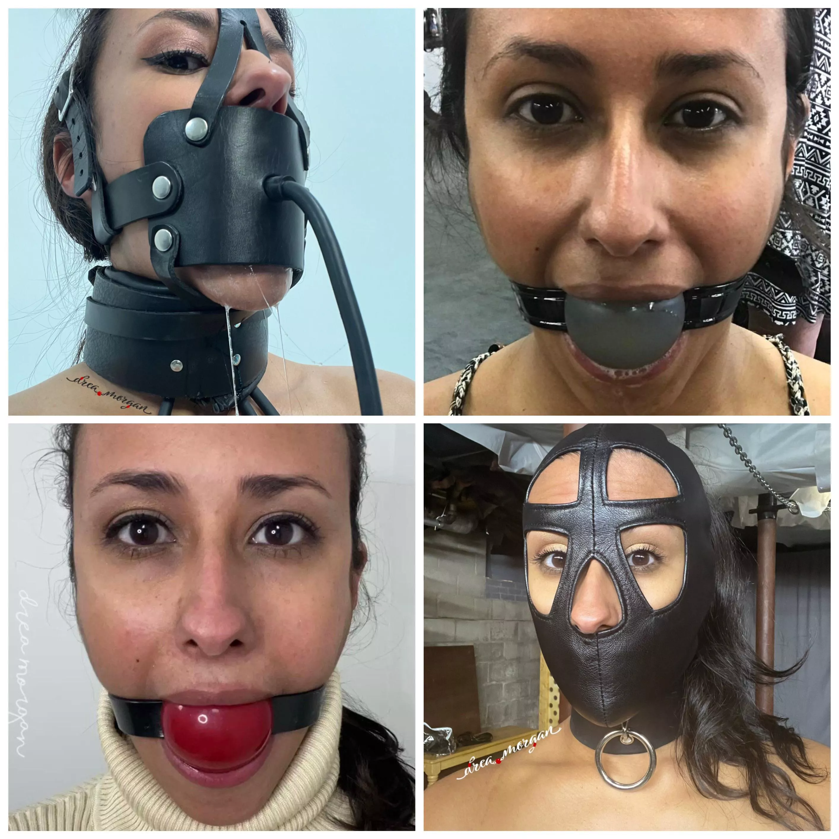 Which one is your favorite ?