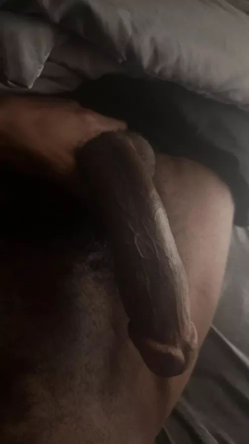 You see this, wyd next?