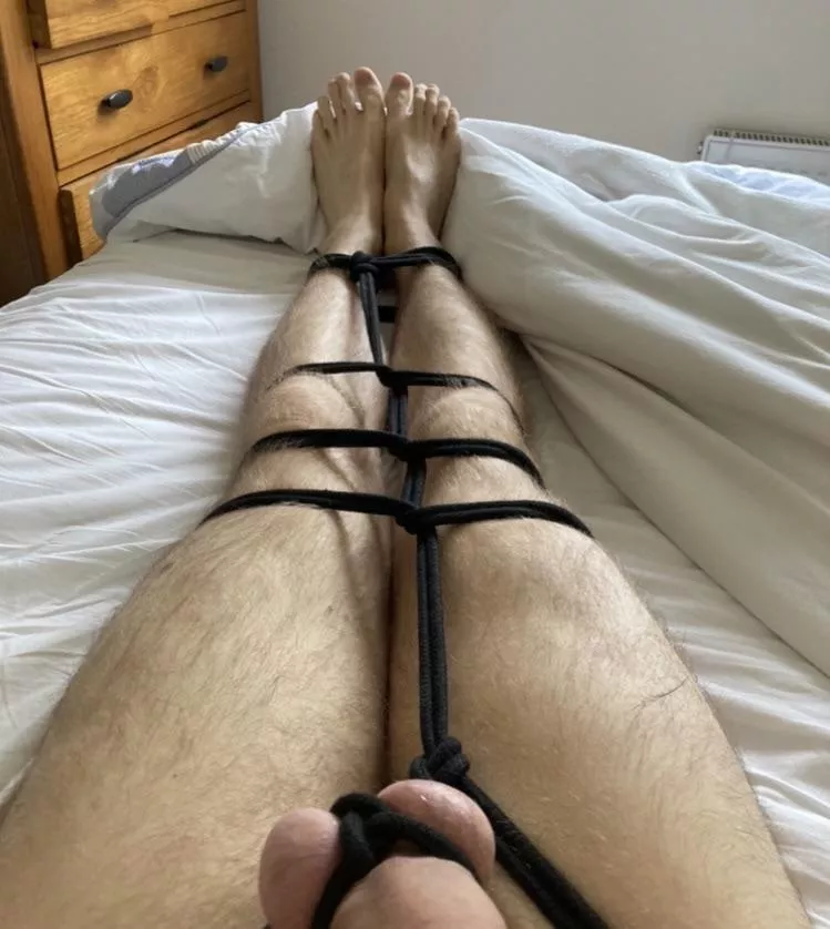 First timer, any suggestions on what to do next? x