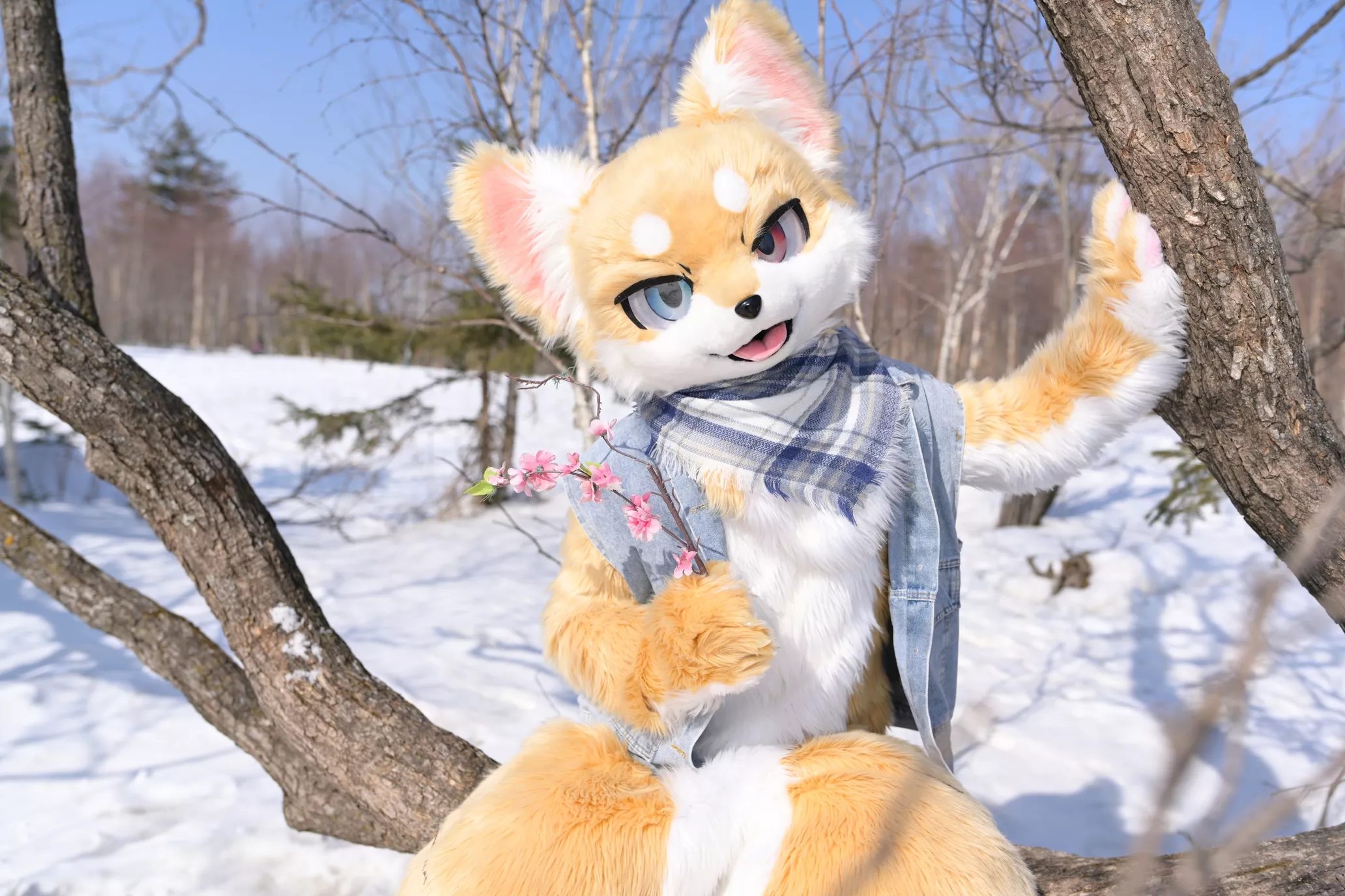 #FursuitFriday by Cookizi on Bilibili