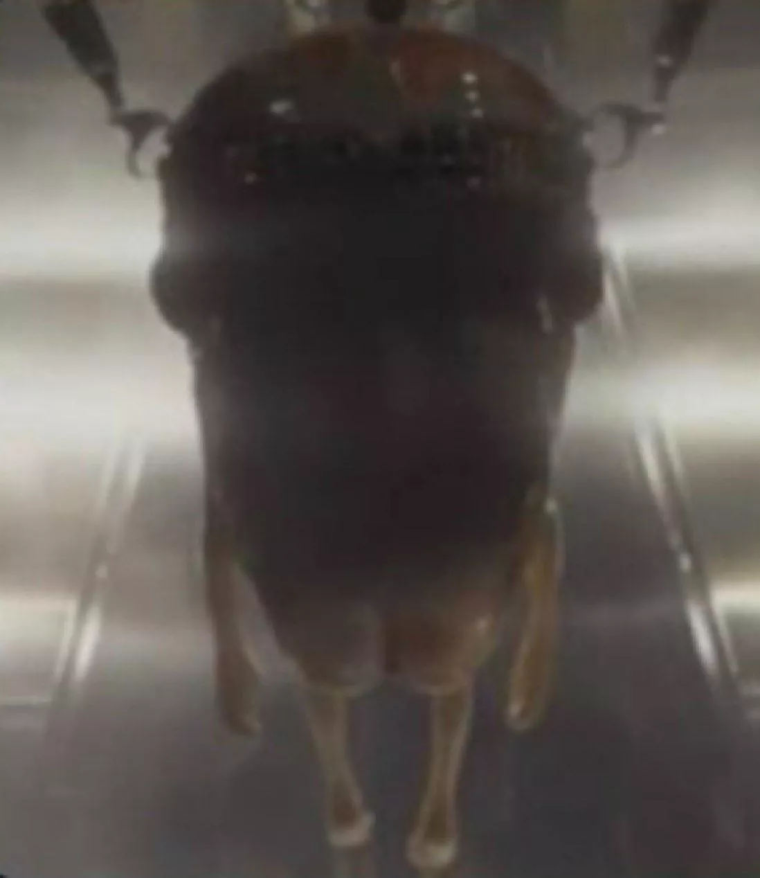 I know the movie was meh, but this is prime rule34 material