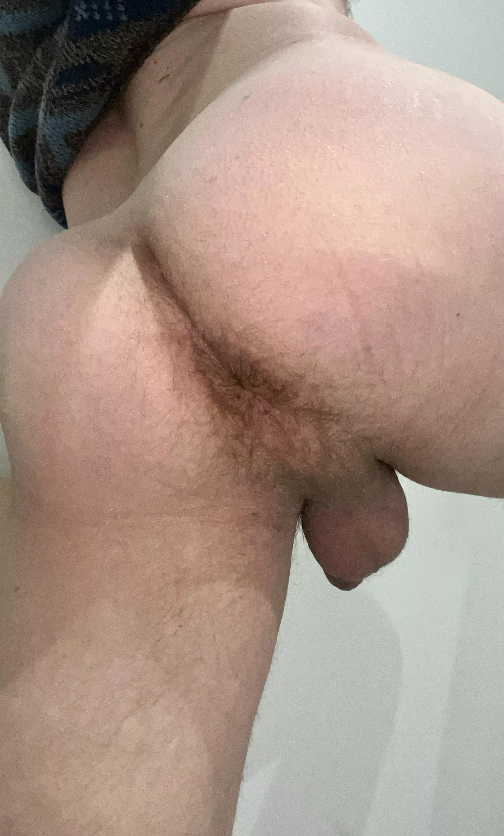 I need a Nice cock
