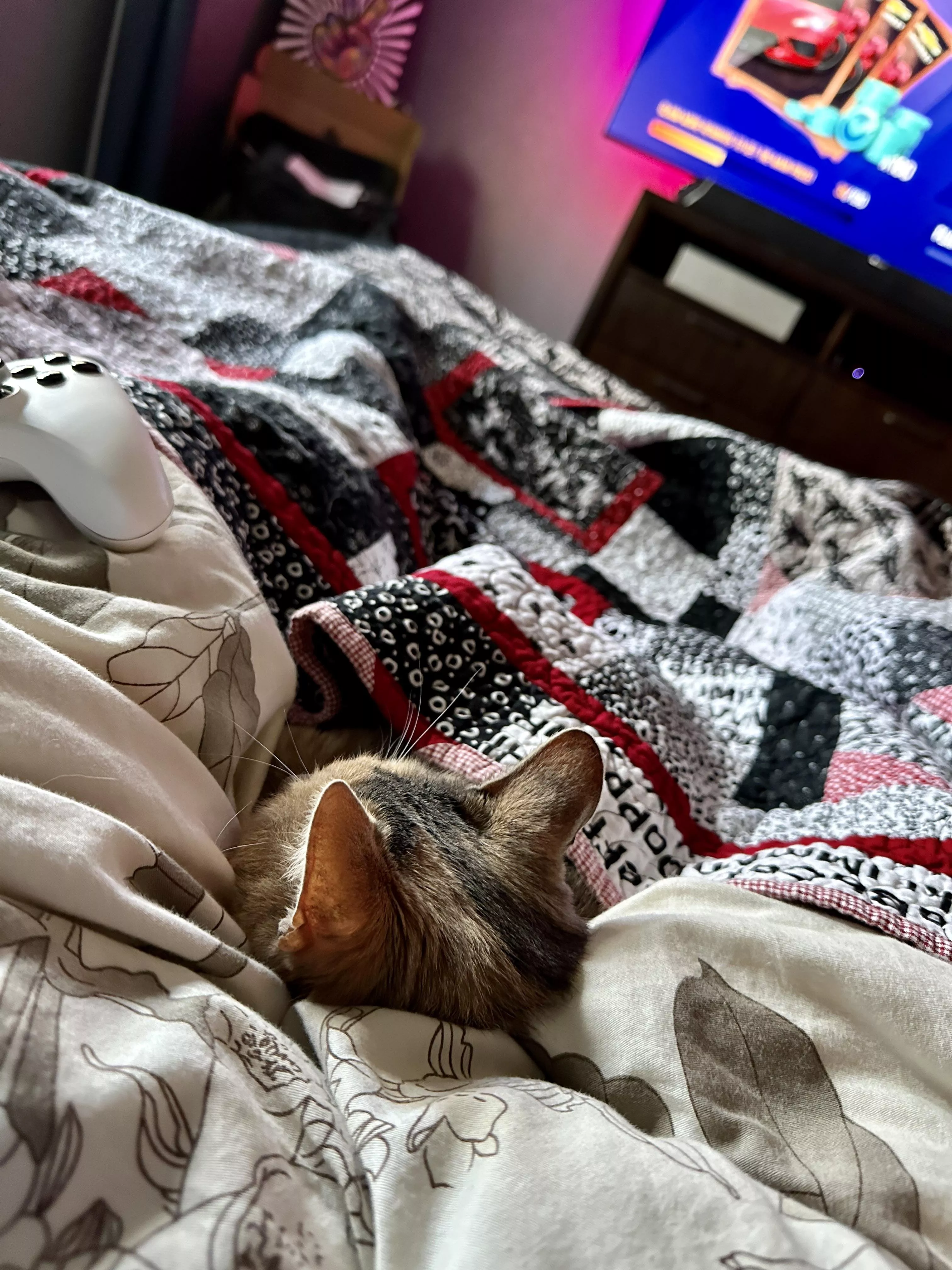 Kitty chose between my legs while I game today. 😻🎮🏁